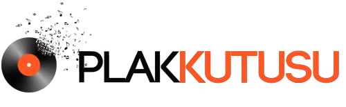 Plak Kutusu